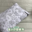 동서한방베개