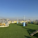 퍼피타운커피 이미지