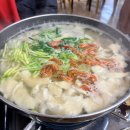 살구나무집민박 | 양천구 신정동 맛집 30년 노포 살구나무집 칼국수