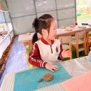 더불어숲어린이집 | 용인 도토리와숲 유아체험학습 | 어린이집 단체 숲속 놀이·황토 흙놀이 다녀온 후기