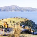 바람의언덕 이미지