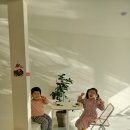 컴앤헤브 이미지