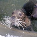 제로100 PC홍제점 | 공포 / 층간소음 / 꽃밭길] 이 가격에 이 정도 고봉밥 연출 … 홍대 제로월드 객큰 혜자 공포테마 리이뷰