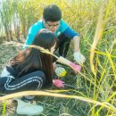 창원한들초등학교 이미지