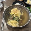 팀브로cc