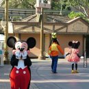 금화마트 이미지