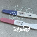(주)진주랑 홈플러스 경산점 | 대구 웨딩홀 투어 후기 4개월만에 결혼준비