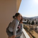 힐튼 경주 이미지