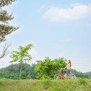 가마을길 경안일보
