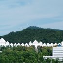 조선대학교 이미지