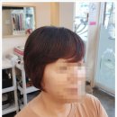 앨리스헤어&헤나 네이버블로그