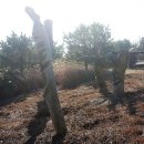 옥류천이야기길(입구) 이미지