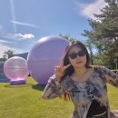 나른한책방 | [대전+무주여행 DAY 2 / 🇰🇷] 무주산골영화제 1일차