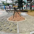 담방문화근린공원 이미지
