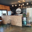 할리우독 이미지