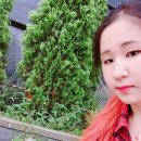 김선생 애견스쿨 이미지