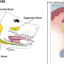 이지 동물병원 이미지