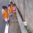 개구멍