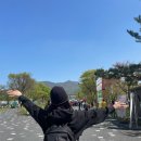 과천 서울대공원 동물원, 동물원 후기 2025