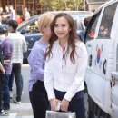 다솜 이미지