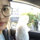 나은 강아지나라 이미지