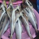 새만금군산건어물