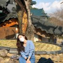 선화 이미지