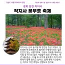 286차 정기산행 김천 직지사 꽃무릇 / 황악산산행 이미지