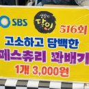 이가꽈배기 이미지