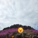 점순이네 - 제주시 | 거제도 봄 여행지 추천: 핑크빛 대금산 진달래 군락지 & 현지인 찐맛집 ‘점순이네’ 후기