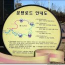 문탠로드 이미지