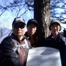 새마을금고 이미지