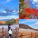 신하목장 | 포천 산정호수 명성산 억새 축제 등산코스 둘레길