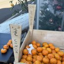 하천리-1 | 제주 서귀포 표선 횟집 [표선하천리포구식당] 브레이크타임 없는 멋진 바다 뷰 횟집❤️