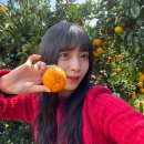 백록농장 이미지