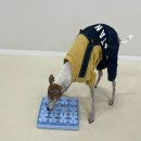 멍클