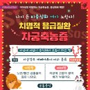 블루베어동물병원 이미지