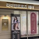 라비앙르로즈 주안 프리미엄 염색 내돈내산 후기!