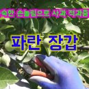 김태희농장 이미지