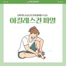 고려튼튼외과의원 | 관양동정형외과 인덕원고려더튼튼의원) 아킬레스건 파열, 단순 통증으로 넘기면 안 되는 이유