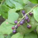 화련회관 이미지