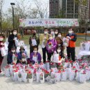 꽃으로 힐링 ** 이미지