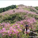 [국제신문] ＜1226＞ 전북 남원 봉화산 이미지