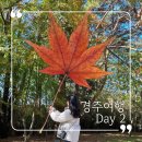 로머스 스테이(Roamers stay) | 가을 단풍 여행 일기 : 경주 day.2 (불국사/맛집/예쁜카페)