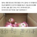 신풍슈퍼 이미지