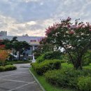정자문화공원 이미지