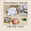 예쁜너를위한 이미지