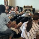 본초당약국 | 라오스 8일 여행:: 루앙프라방 마사지/풋스크럽, 왕궁(국립)박물관, 호파방 사원