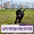 스퀘어독스 롯데남악점 이미지