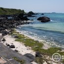 생명의 바다 1.2 이미지